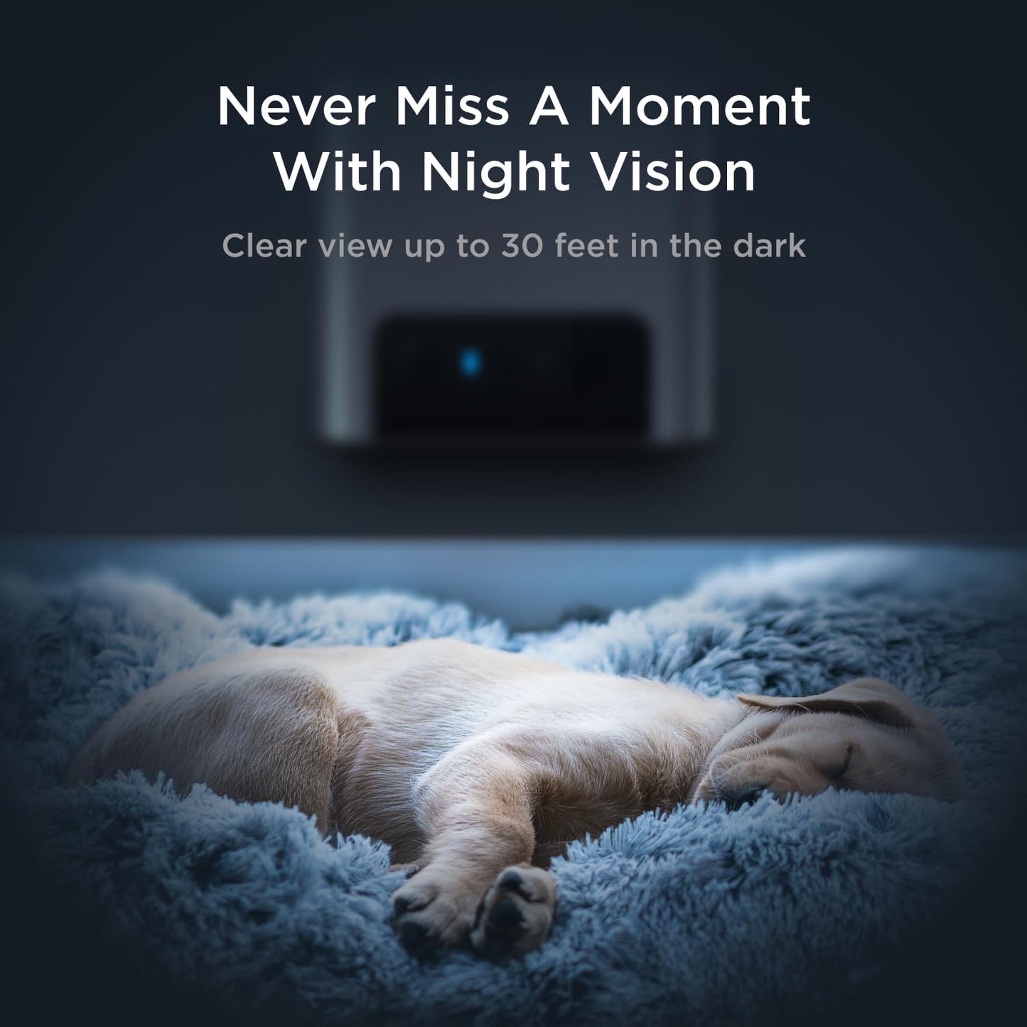 Petcube Bites 2 Lite Interactive Wifi Pet Monitoring Camera with Phone App and Treat Dispenser, 1080P HD Video, Night Vision, Two-Way Audio, Sound and Motion Alerts, Cat and Dog Monitor