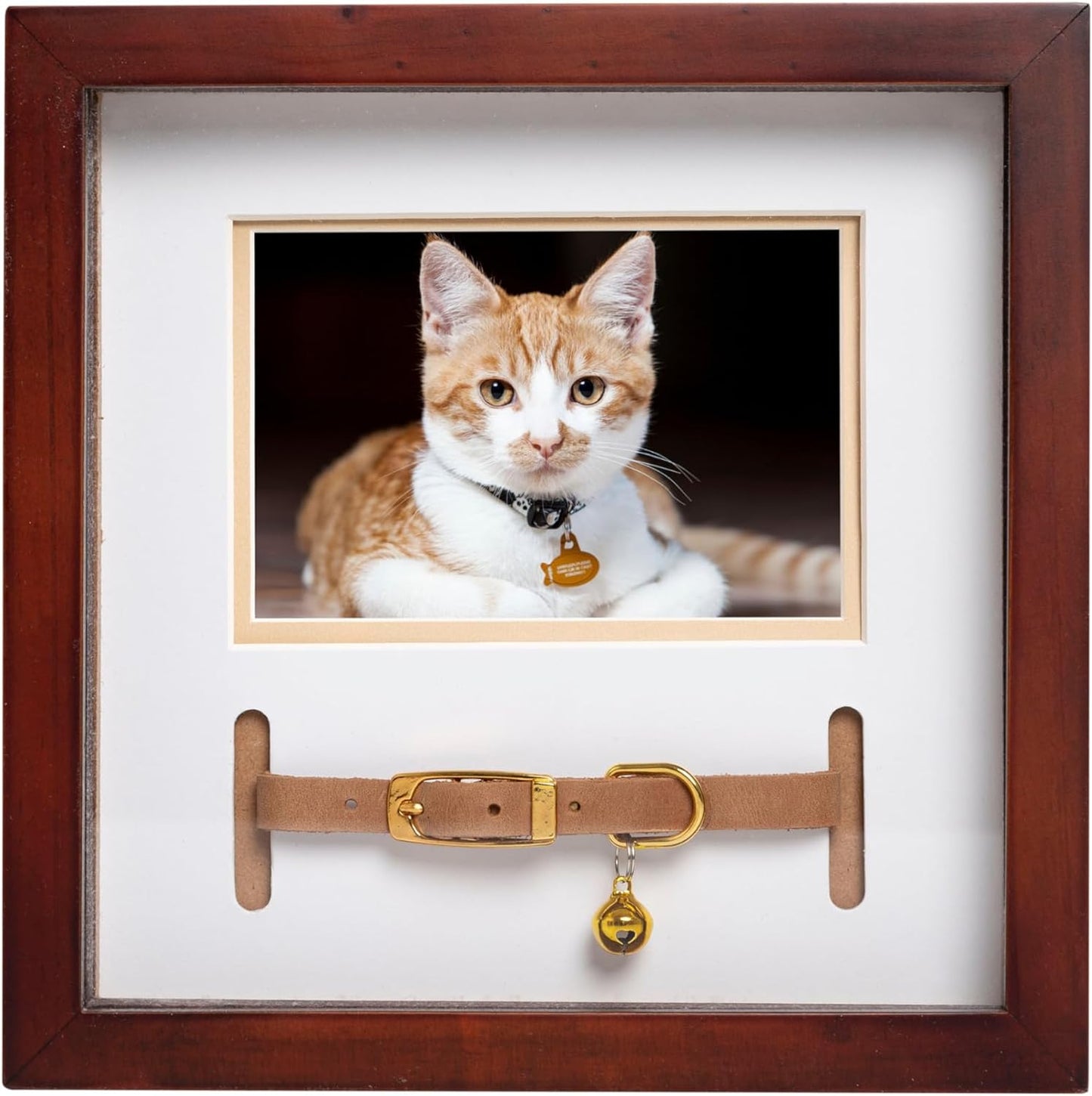 Pearhead Pawprints Collar Frame, Pet Keepsake Photo Frame, Clay Pawprint and Collar Frame, Pet Memorial Picture Frame