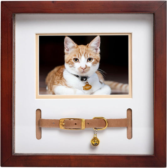 Pearhead Pet Collar Keepsake Frame - Dual Display Memorial Keepsake for Cat & Dog Collars, Wall Mount or Tabletop, Ideal Gift and Home Decor for Pet Owners, 3" X 4.5" Photo Insert, Espresso