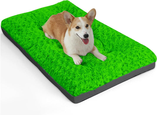 Deluxe Washable Dog Bed for Medium Dogs Dog Crate Mat 30 Inch Comfy Fluffy Kennel Pad Anti-Slip for Dogs up to 40 Lbs, 30" X 19", Green