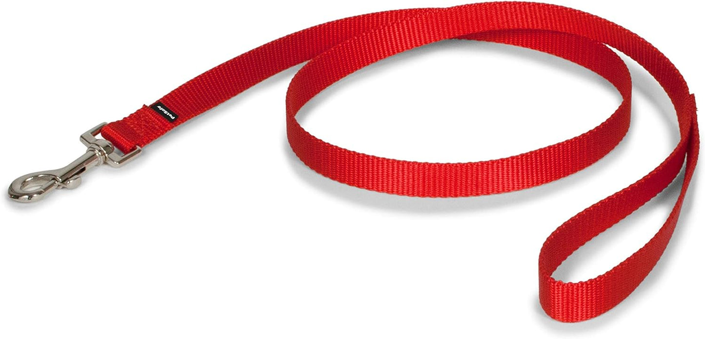 Petsafe Nylon Dog Leash - Strong, Durable, Traditional Style Leash with Easy to Use Bolt Snap - 3/4 In. X 4 Ft., Red