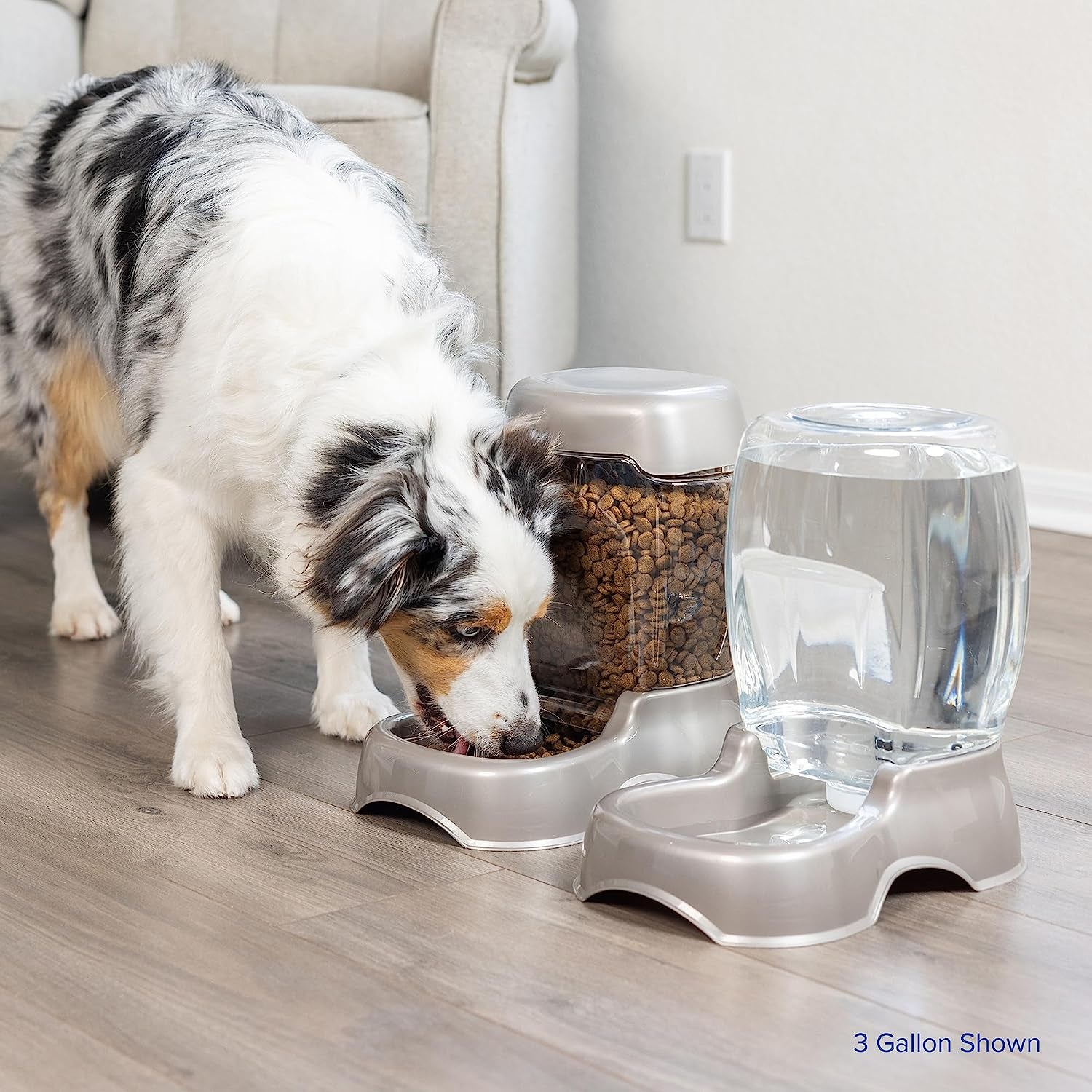 Petmate Pet Cafe Waterer Cat and Dog Water Dispenser 4 Sizes (Pack of 2)