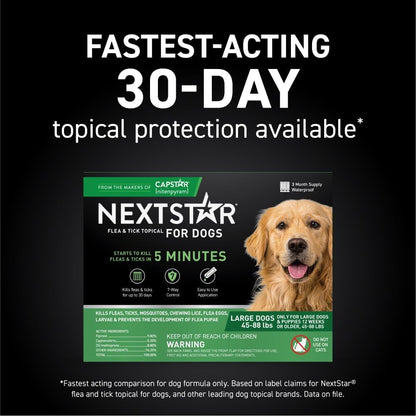 Flea and Tick Prevention for Dogs, Repellent, and Control, Fast Acting Waterproof Topical Drops for Medium Dogs, 6 Monthly Doses