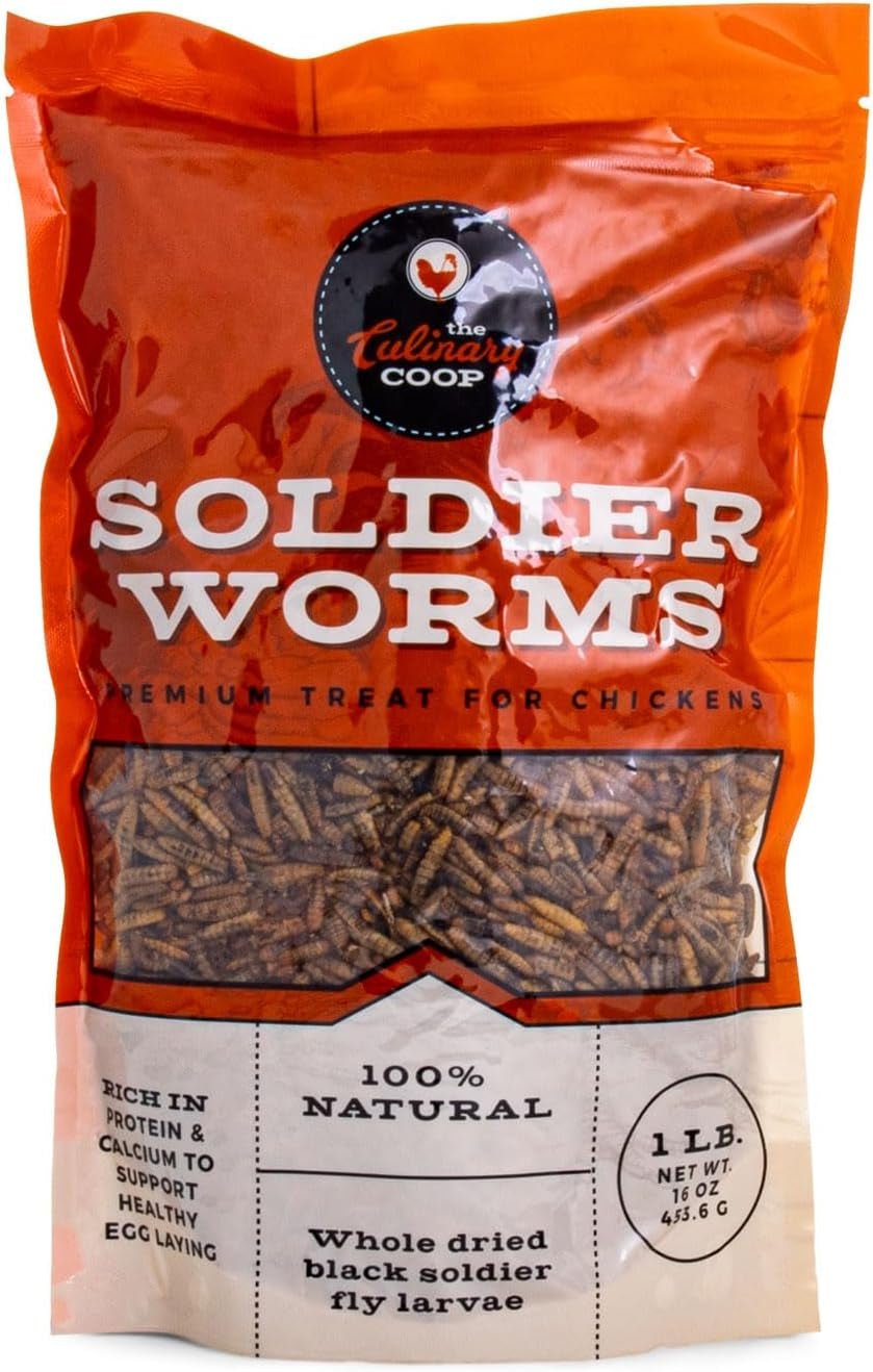 Fluker's Culinary Coop Premium Chicken Treats, Dried Soldier Worms, Packed with Protein and Calcium, 100% Natural Rich Grubs for Chicken, Backyard Birds, and Reptiles, 16 oz