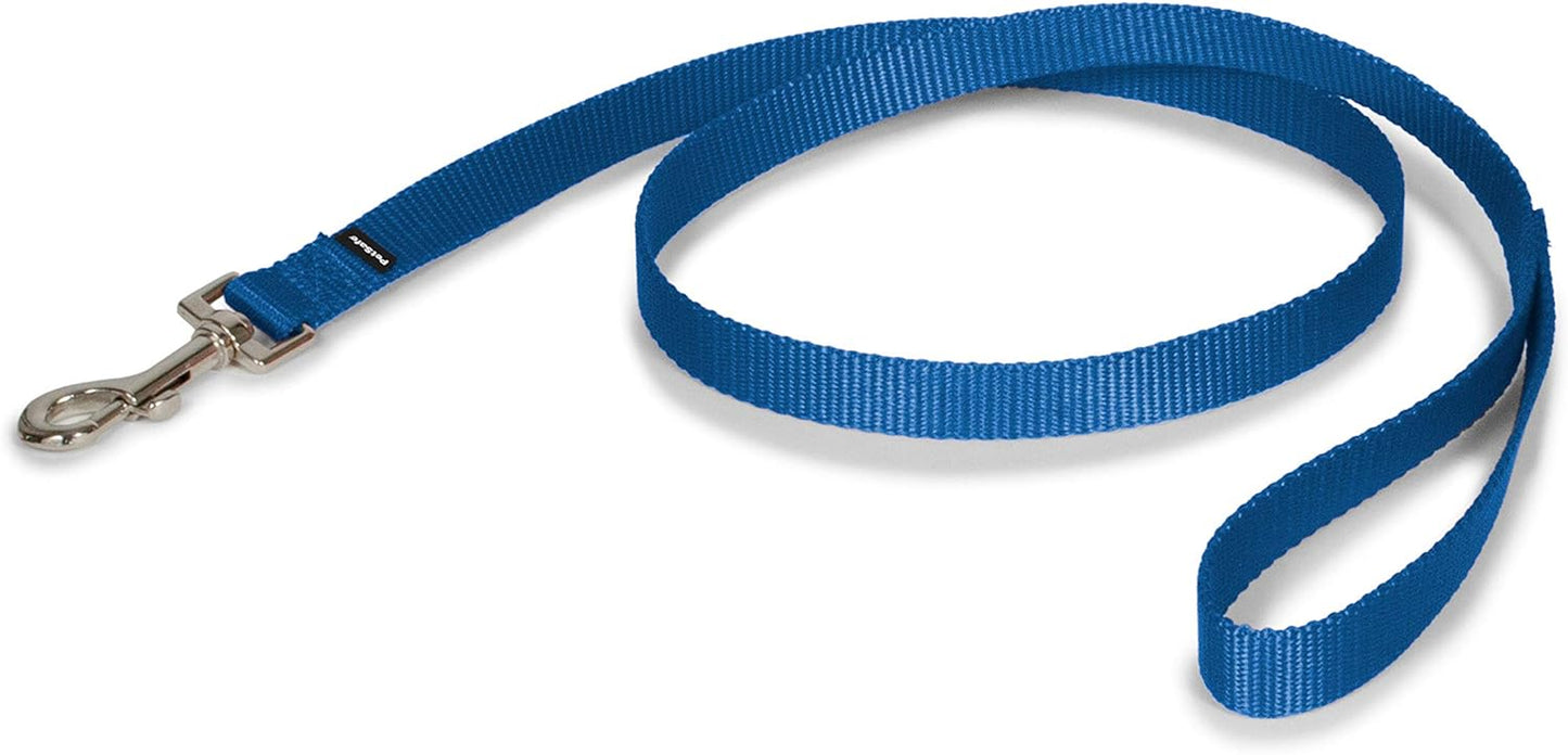 Petsafe Nylon Dog Leash - Strong, Durable, Traditional Style Leash with Easy to Use Bolt Snap - 3/4 In. X 4 Ft., Royal Blue