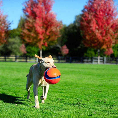 Chuckit! Kick Fetch Ball Dog Toy (6 Inch) and Chuckit! Indoor Fetch Ball Dog Toy (4.75 Inch), Orange and Blue