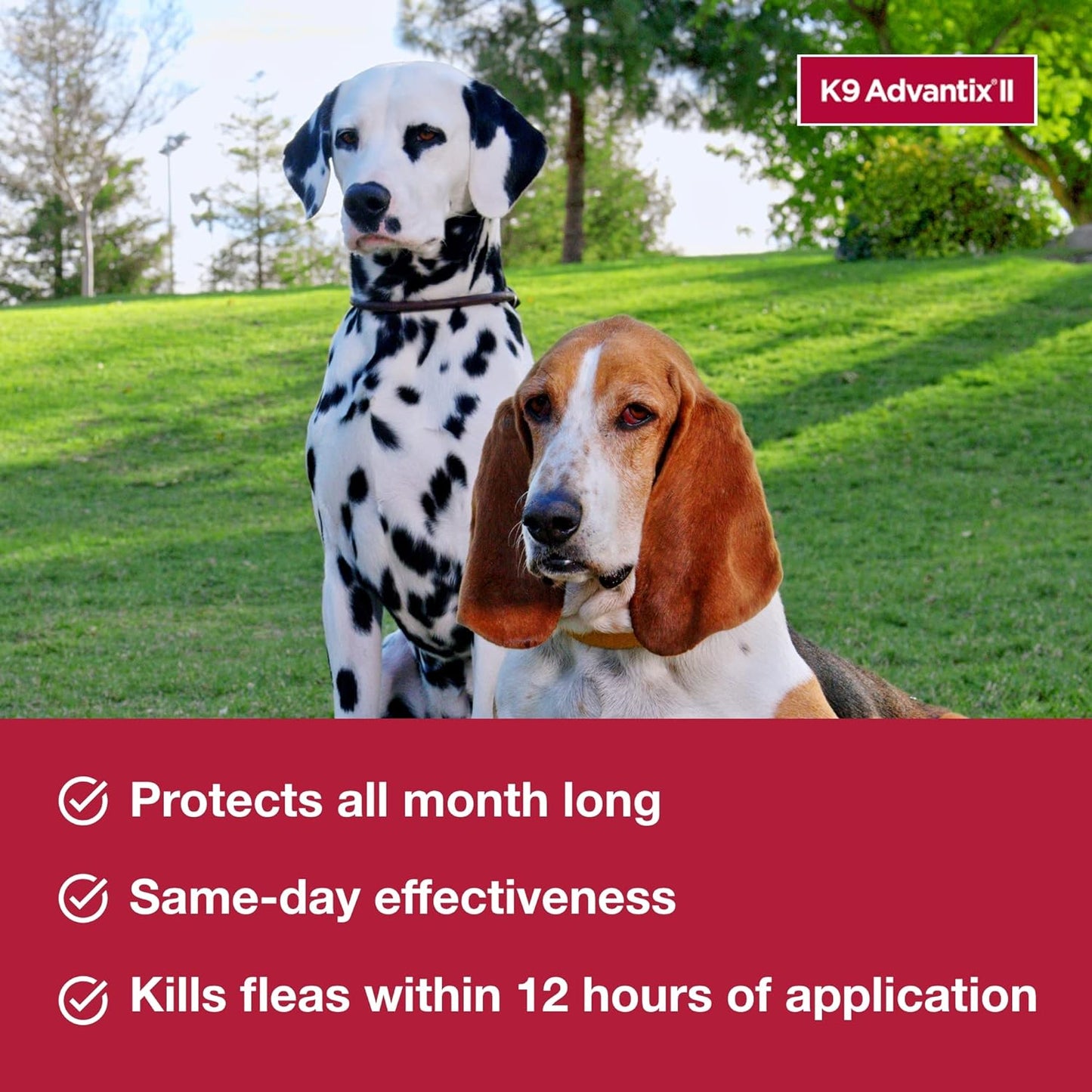 K9 Advantix II XL Dog over 55 Lbs & Large Dog 21-55 Lbs Vet-Recommended Flea, Tick & Mosquito Treatment & Prevention | 2-Mo Supply Each