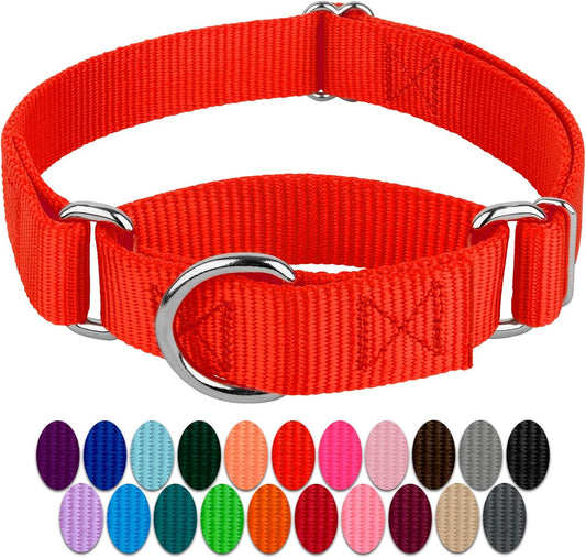 Country Brook Petz - Hot Orange Martingale Heavy Duty Nylon Dog Collar - 21 Vibrant Color Options (3/8 Inch Width, Micro)