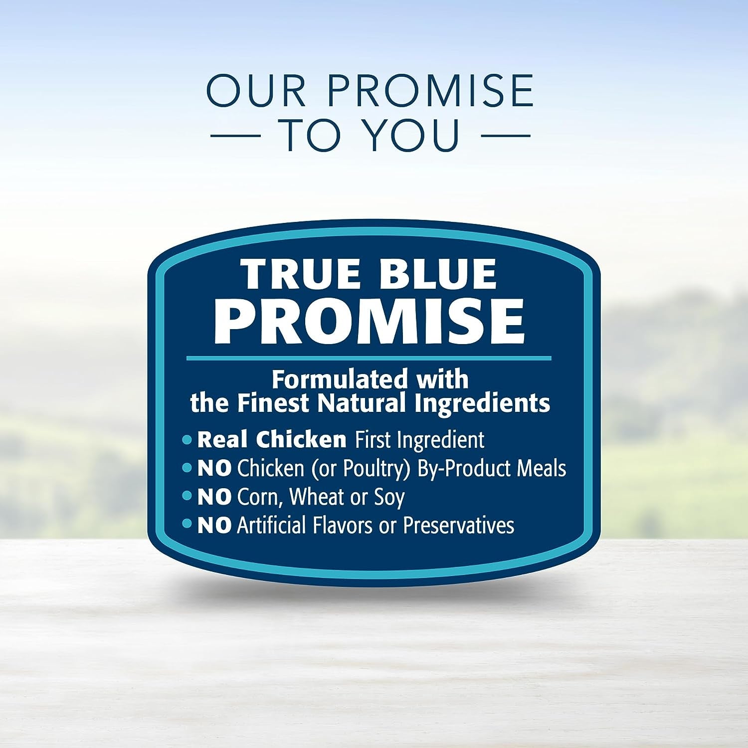 Blue Buffalo Blue Life Protection Formula Natural Adult Beef and Brown Rice Dry Dog Food, 24 Lbs.