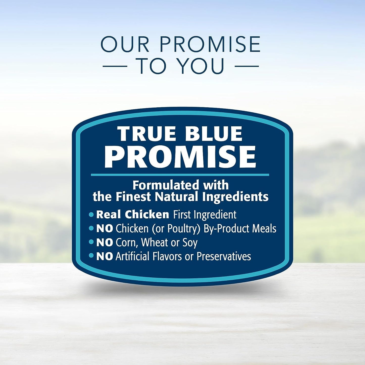 Blue Buffalo Life Protection Formula Natural Adult Dry Dog Food, Beef and Brown Rice 34-Lb