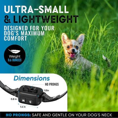 Tiny Bark Collar for Small Dogs 5-15 Lbs and Puppies - No Shock anti Barking Collar - Rechargeable Smart Collar for Dog Training with 7 Sensitivity Levels and 3 Beep&Vibration Modes