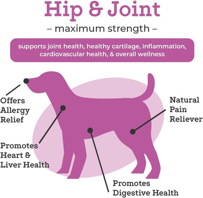 Vetpro Dog Hip and Joint Supplement - Pain and Inflammation Relief Chews with Glucosamine, Chondroitin, MSM, Turmeric, Vitamin C, Omega 3 - Treats Hip Dysplasia, Arthritis - Dogs Chewable Supplements