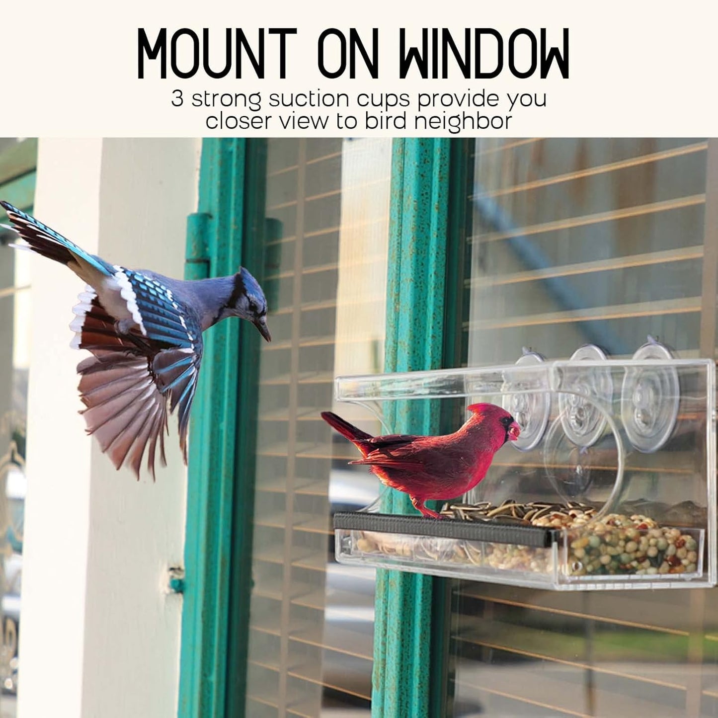 MrCrafts Window Bird Feeder for Outside with Strong Suction Cups, Fits for Cardinals, Finches, Chickadees etc