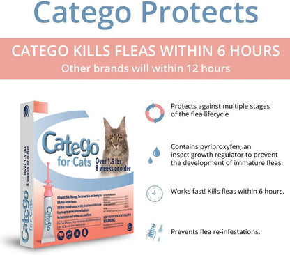 Flea & Tick Control for Cats (Single Dose)