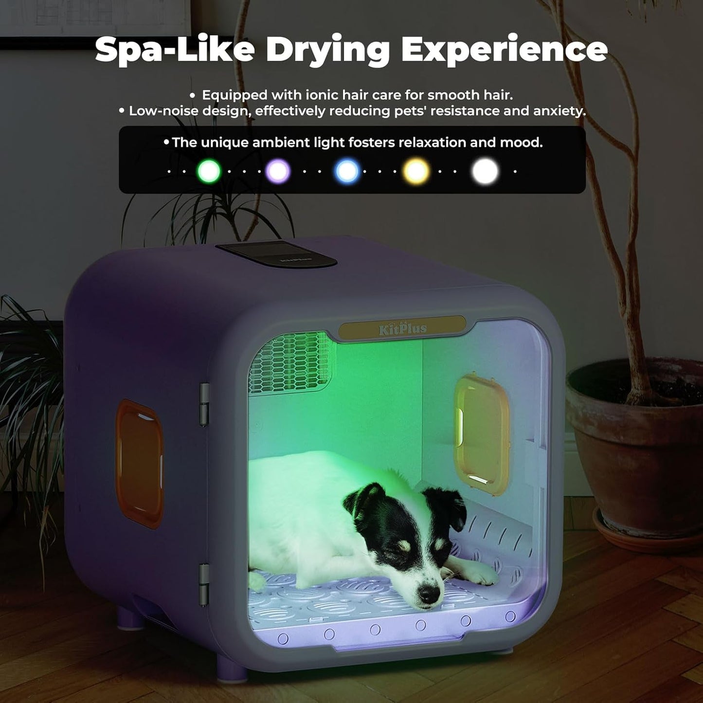 Automatic Pet Dryer Box: 71L Ultra Quiet Dog Cat Dryer Box with Smart Lock and Temperature Control - 360° Fast Drying Blower for Dog Hair Grooming with Ambient Lighting