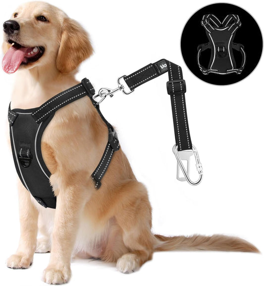 Dog Vehicle Safety Vest Harness, Adjustable Soft Padded Mesh Car Seat Belt Leash Harness with Reflective Strip Travel Strap Carabiner for Most Cars, Small Size, Carbon Black