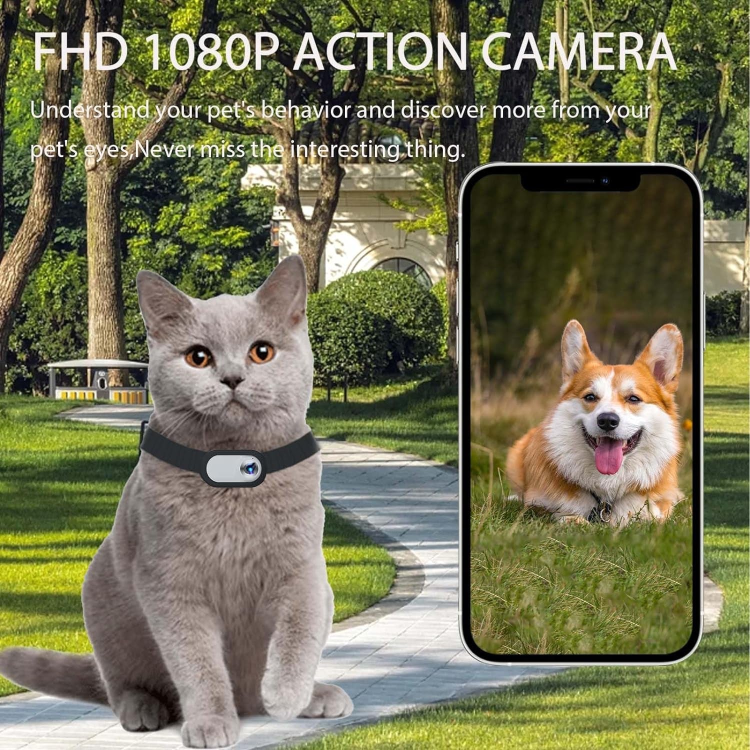 Updated Cat Camera Collar with 16GB SD Card, HD 1080P Dog Collar Camera Mini Body Camera Action Camera Collar Camera for Dogs Cats Gift Indoor/Outdoor（Not Include Collar ）-Black