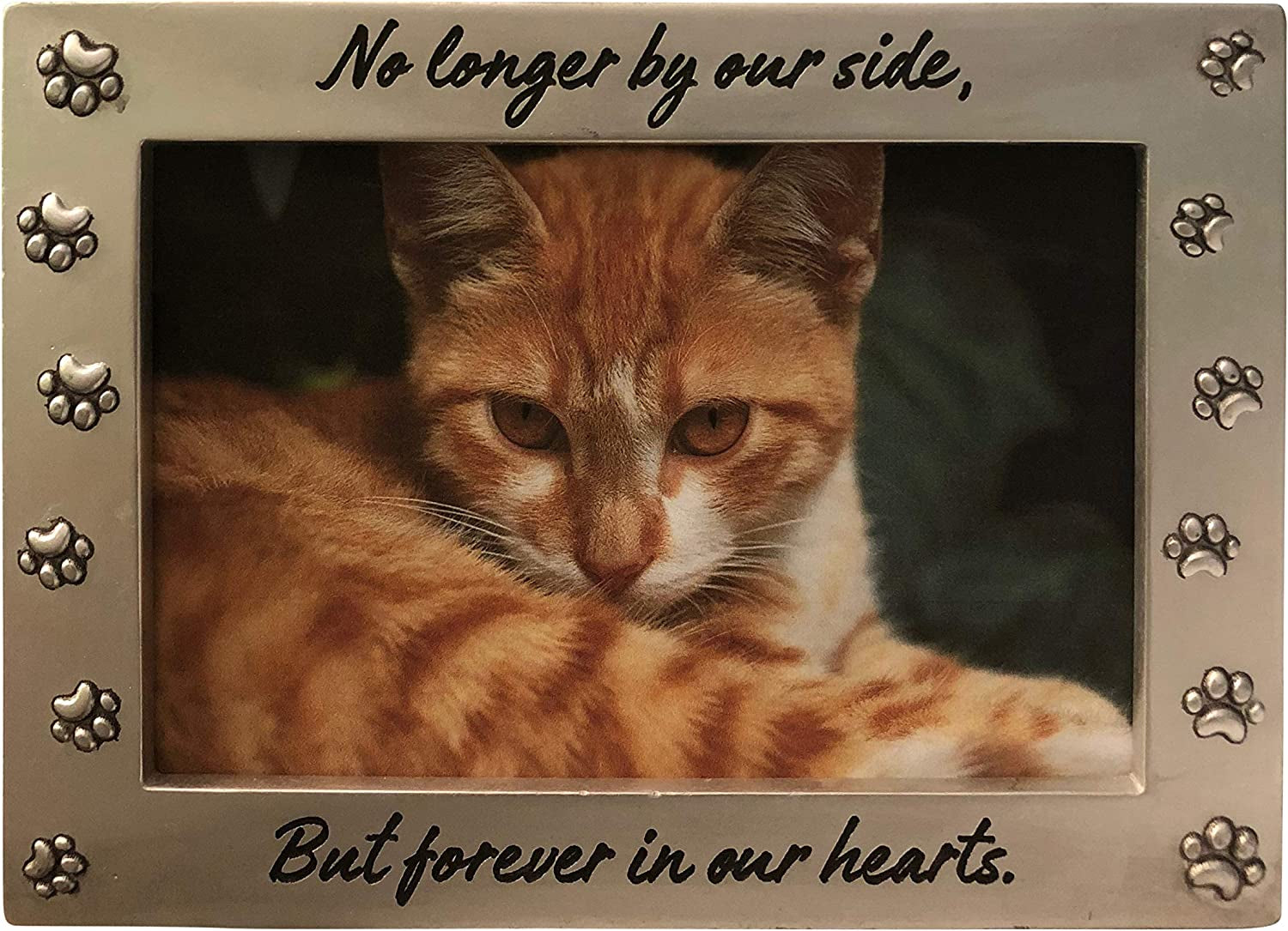 Newlifelandia Pet Memorial Picture Frame Keepsake for Dog or Cat, Perfect Loss of Pet Gift for Remembrance and Healing