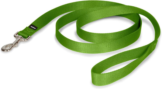 Petsafe Nylon Dog Leash - Strong, Durable, Traditional Style Leash with Easy to Use Bolt Snap - 1 In. X 6 Ft., Apple Green