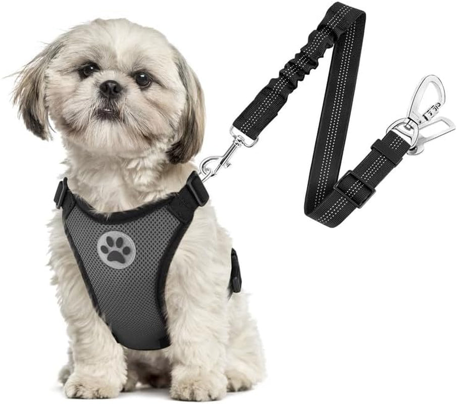 Slowton Dog Seat Belt Harness for Car, Dog Car Harness Adjustable Mesh Breathable & Dog Seatbelt Safety Tether with Elastic Bungee for Small Medium Large Pets(Grey, Double Clip, XS)