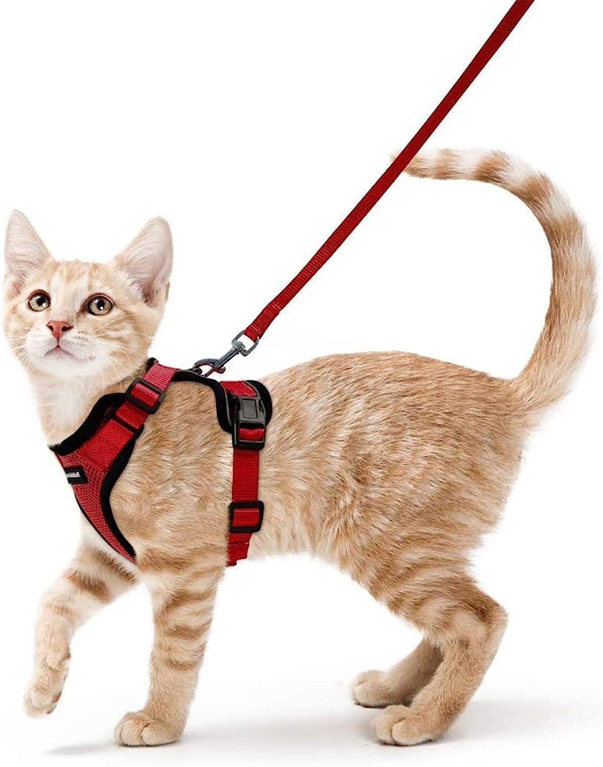 Rabbitgoo Cat Harness and Leash for Walking, Escape Proof Soft Adjustable Vest Harnesses for Cats, Easy Control Breathable Reflective Strips Jacket, Red, S