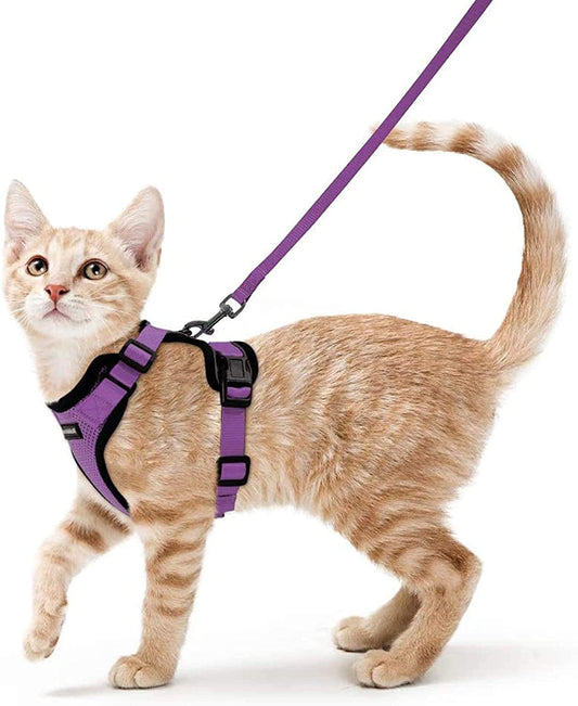 Rabbitgoo Cat Harness and Leash for Walking, Escape Proof Soft Adjustable Vest Harnesses for Cats, Easy Control Breathable Reflective Strips Jacket, Purple, S