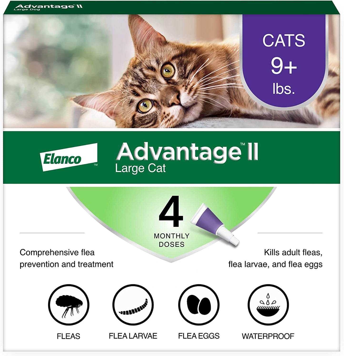 Advantage II Large Cat Vet-Recommended Flea Treatment & Prevention | Cats over 9 Lbs. | 4-Month Supply