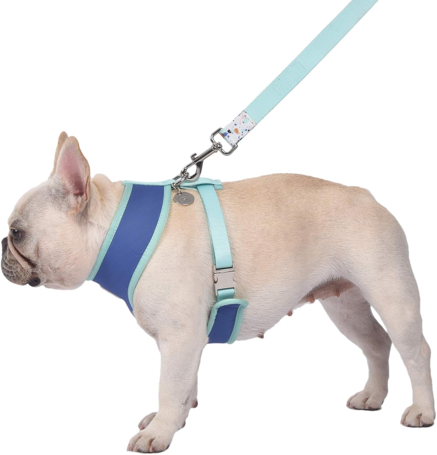 Now House for Pets by Jonathan Adler Terrazzo Reversible Harness, Medium | Stylish, Fashionable, and Functional Way to Keep Your Dog Looking Great | Cute and Adorable Dog Accessories for Pets