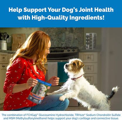 Cosequin Senior Joint Health Supplement for Senior Dogs - with Glucosamine, Chondroitin, Omega-3 for Skin and Coat Health and Beta Glucans for Immune Support, 60 Soft Chews