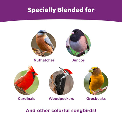 Kaytee Nut and Fruit Blend, Premium Wild Bird Food, Specially Blended for Colorful Songbirds