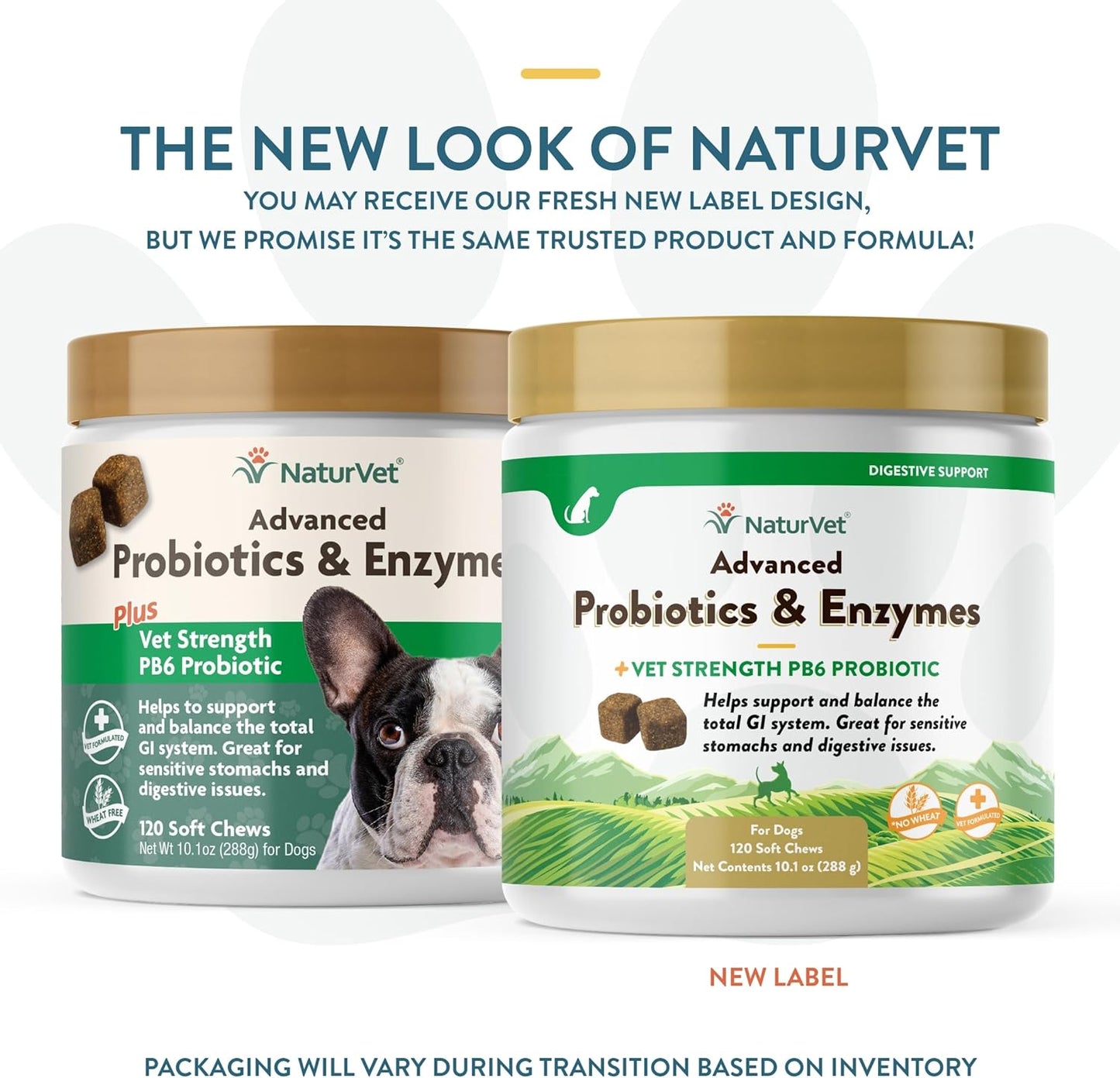 Veterinarian Strength Advanced Probiotics, Healthy Enzymes and PB6 Probiotic Supplement for Your Dogs Stomach, Intestine, Digestion and GI Tract Health, Made by Naturvet, 120 Soft Chews