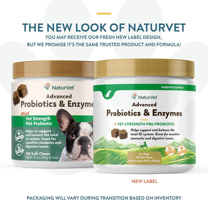 Naturvet – Advanced Probiotics & Enzymes - plus Vet Strength PB6 Probiotic | Supports and Balances Pets with Sensitive Stomachs & Digestive Issues | for Dogs & Cats (4 Oz)