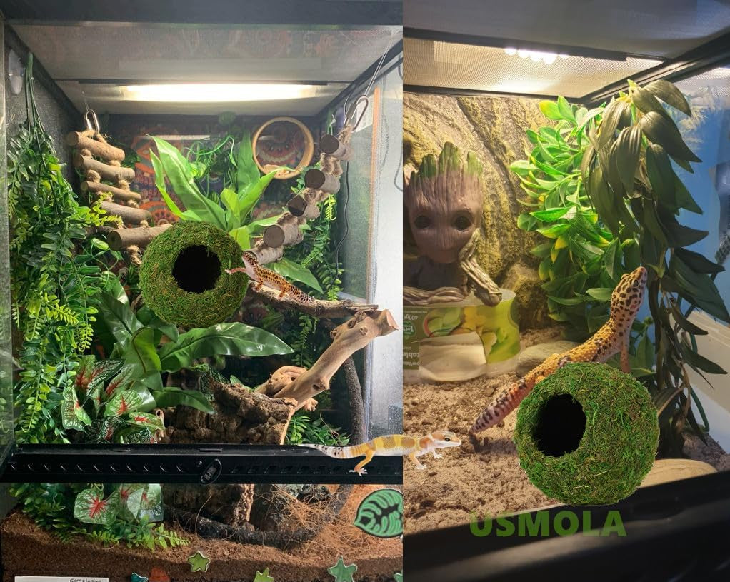 Mossy Caves, Artificial Green Moss Caves Hide for Pet Reptile Frogs and Snakes, Terrarium & Vivarium Decor, Crested Gecko Tank Decor (4" - Woodland Green)