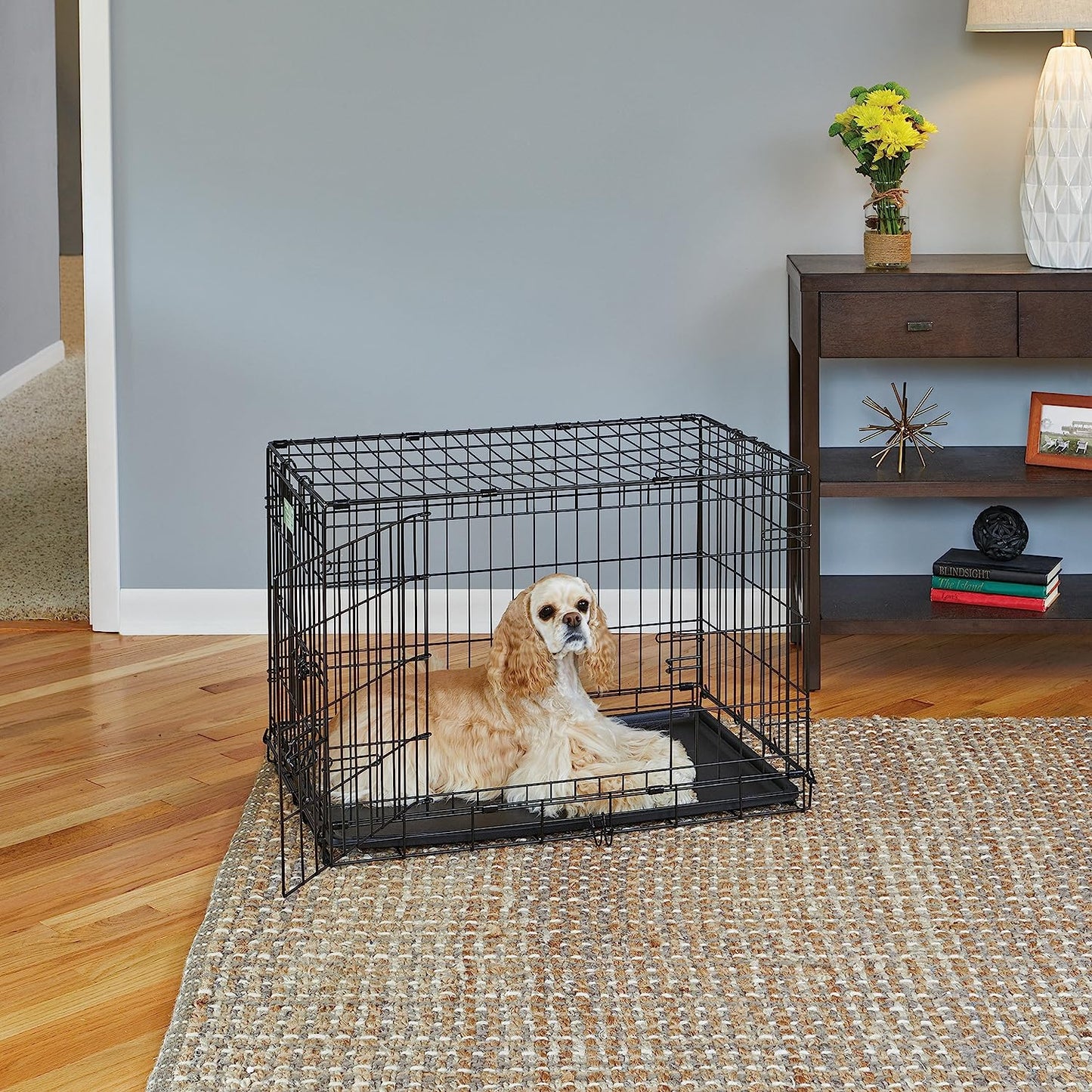 Medium Dog Crate | Midwest Life Stages 30" Double Door Folding Metal Dog Breed Crate | Divider Panel, Floor Protecting Feet & Dog Pan | 30.6L X 19.3W X 21.4H Inches