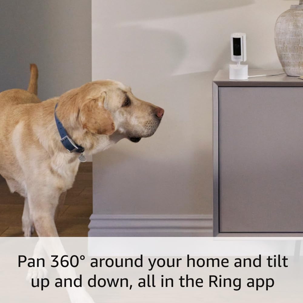 Introducing Ring Pan-Tilt Indoor Cam | see all around with 360° pan coverage, HD video, plus Two-Way Talk (2024 release) | White