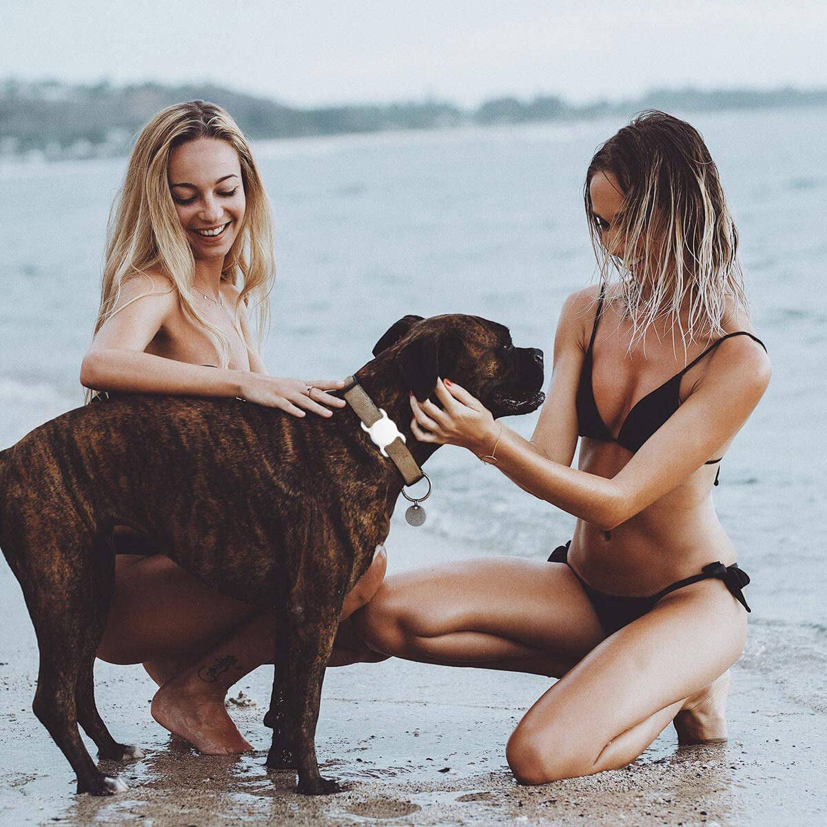 SWINCHO Airtag Dog Collar Holder(2 Pack) for Apple Airtag Anti-Lost Silicone Air Tag Holder Cat Collar (Midnight Blue&Black)