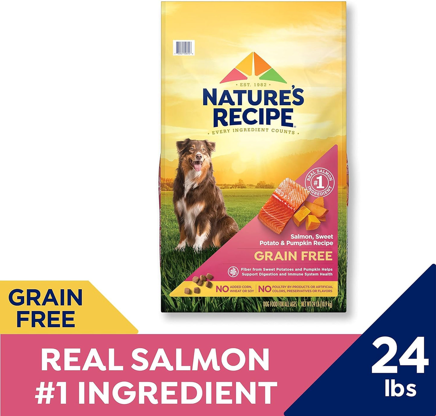 Nature'S Recipe Grain Free Dry Dog Food, Salmon, Sweet Potato & Pumpkin Recipe, 12 Pound Bag, Easy to Digest