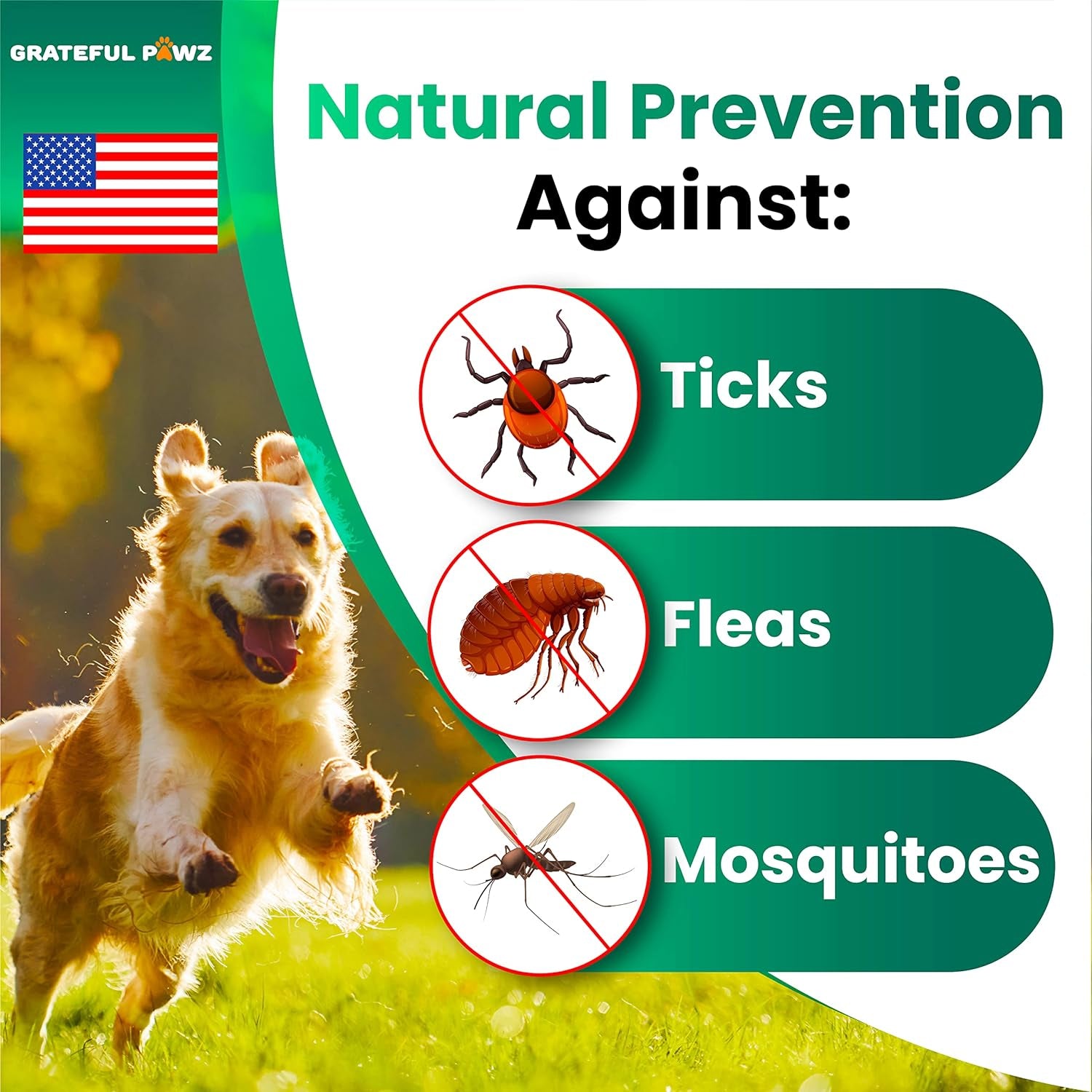 Flea and Tick Prevention for Dogs Chewables - Made in USA - Natural Flea and Tick Chews Supplement for Dogs - Oral Flea Pills for Dogs - Pest Defense - All Breeds and Ages - 120 Soft Tablets