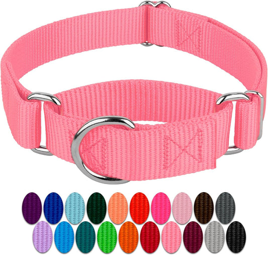Country Brook Design - Pink Martingale Heavy Duty Nylon Dog Collar - 21 Vibrant Color Options (1 Inch Width, Medium)