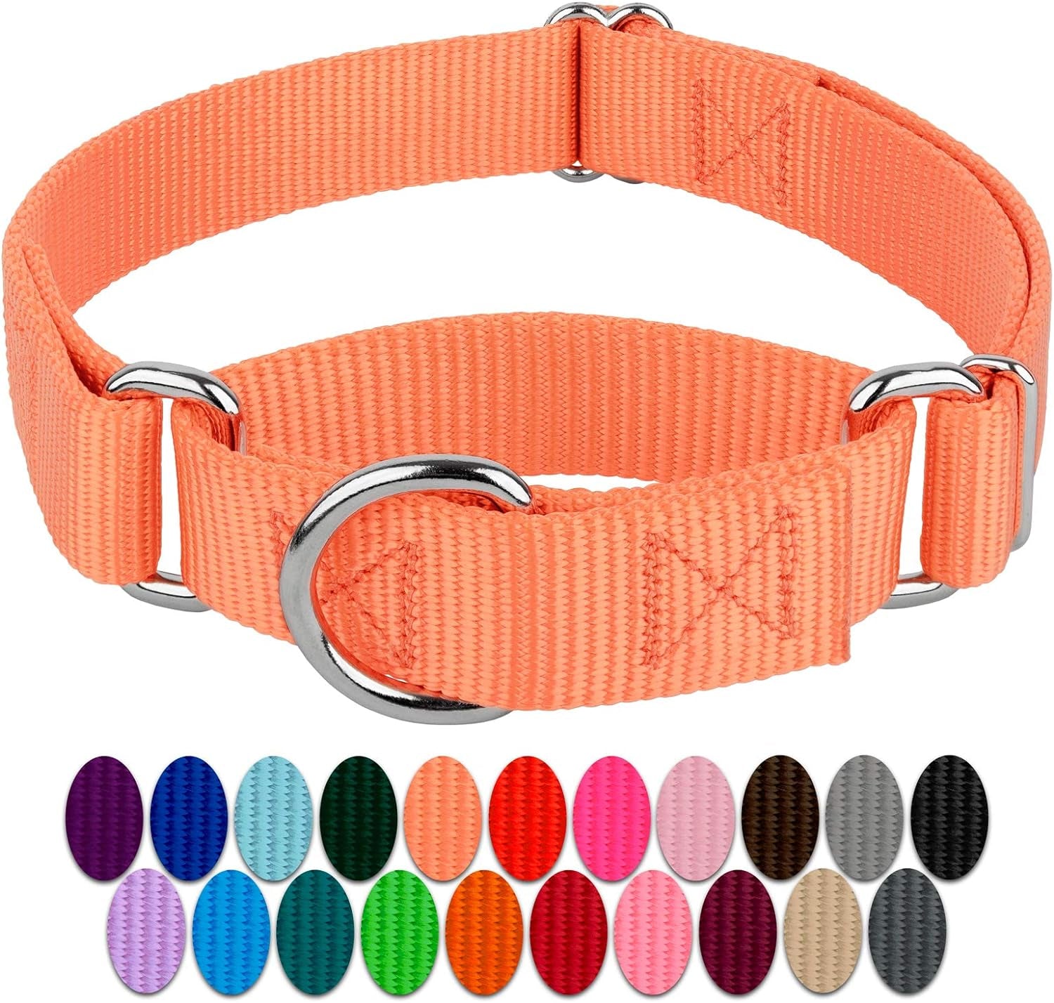 Country Brook Design - Mango Martingale Heavy Duty Nylon Dog Collar - 21 Vibrant Color Options (3/4 Inch Width, Small)