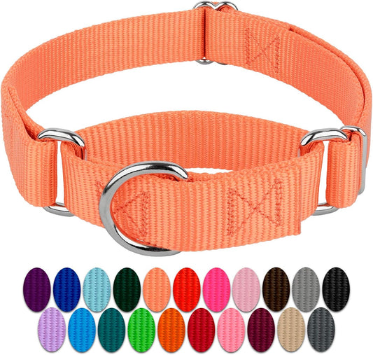 Country Brook Design - Mango Martingale Heavy Duty Nylon Dog Collar - 21 Vibrant Color Options (3/4 Inch Width, Small)