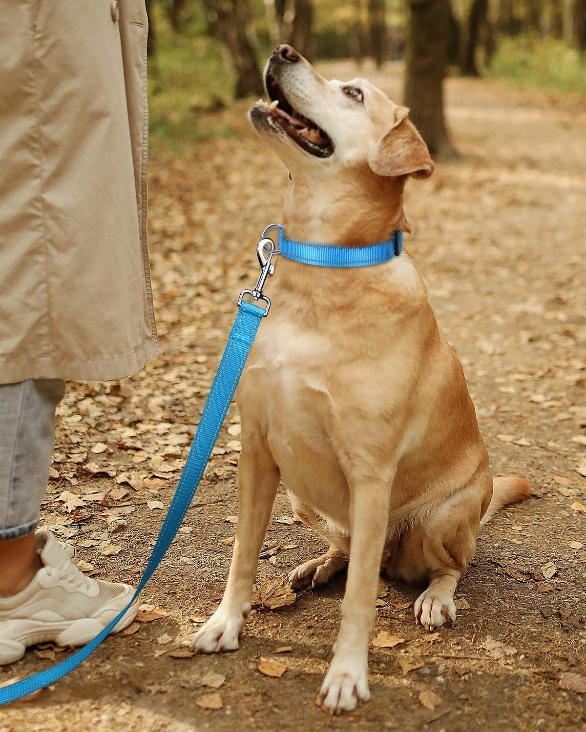 Tagme Small Dog Collar, Adjustable Reflective Nylon Dog Collar with Quick Release Buckle, Sky Blue, 5/8" Width