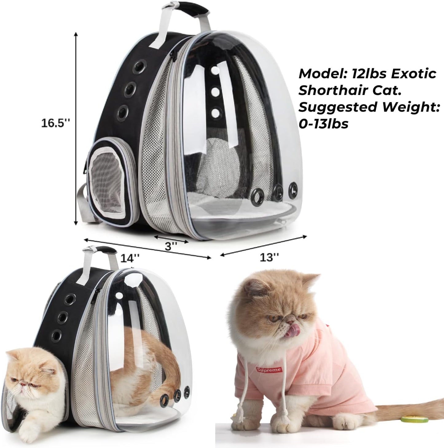 Lollimeow Bubble Expandable Cat Backpack Pet Travel Carrier for Cats and Dogs(Black-Front Expandable)