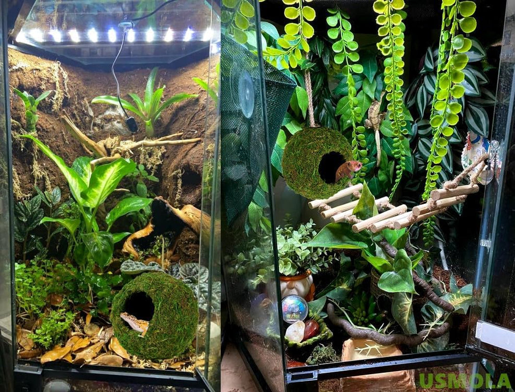 Mossy Caves, Artificial Green Moss Caves Hide for Pet Reptile Frogs and Snakes, Terrarium & Vivarium Decor, Crested Gecko Tank Decor (4" - Woodland Green)