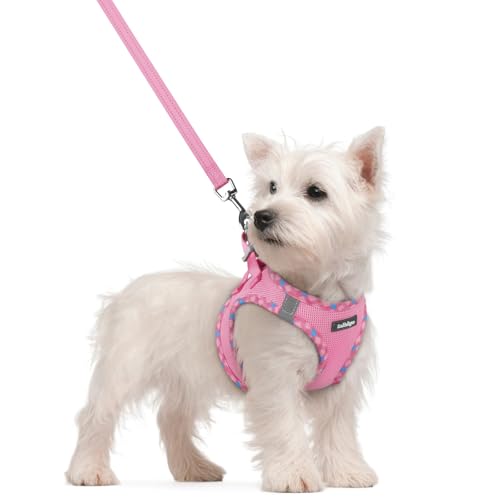 rabbitgoo Dog Harness Small Sized and Leash Set, Step in Soft Light Puppy Vest, Breathable Mesh Pet Harness, Reflective for Safe Easy Walking, Pink & Plaid Trim S