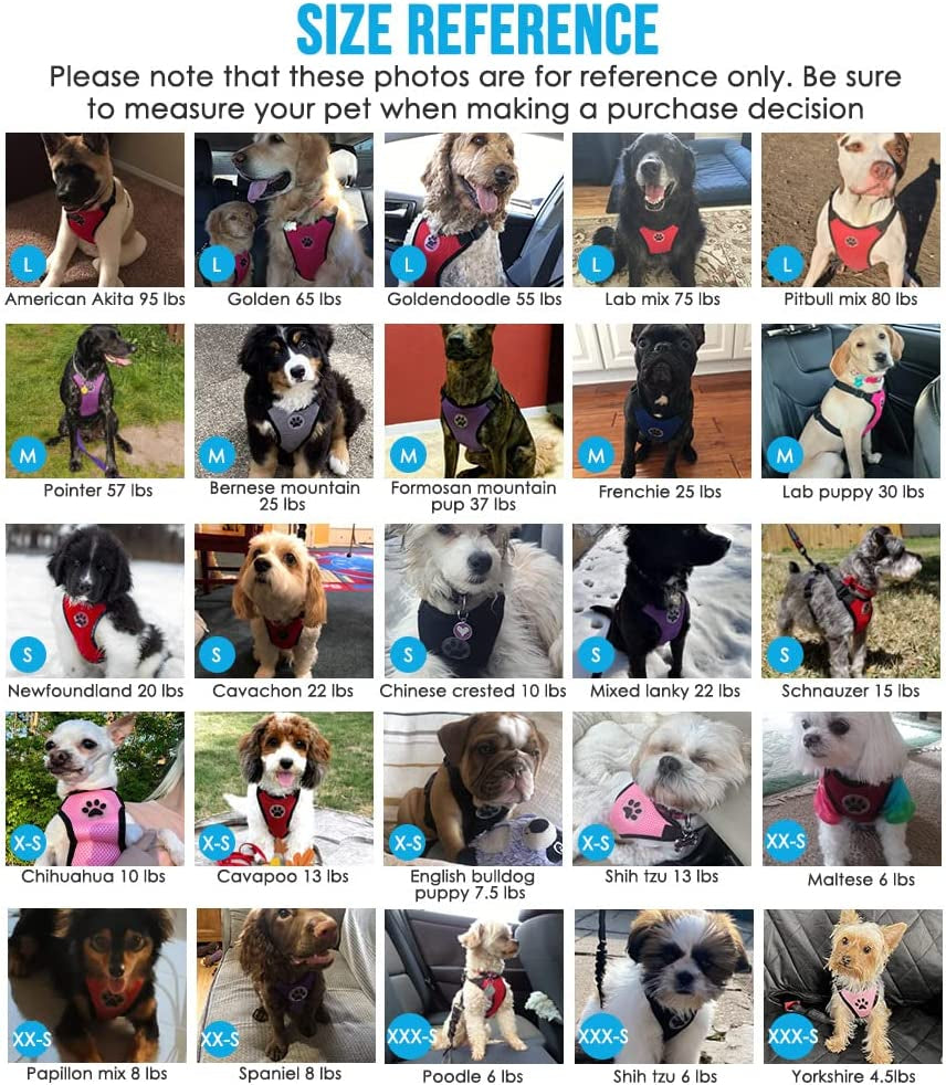 Slowton Dog Seat Belt Harness for Car, Dog Car Harness Adjustable Mesh Breathable & Dog Seatbelt Safety Tether with Elastic Bungee for Small Medium Large Pets(Green, Double Clip, XXXS)