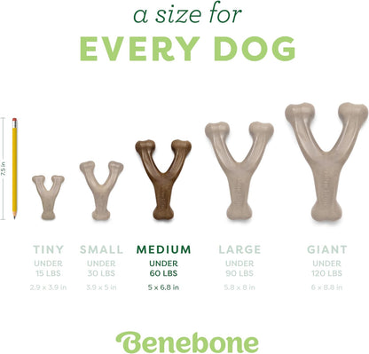 Benebone Wishbone Durable Dog Chew Toy for Aggressive Chewers, Real Chicken, Made in USA, Large