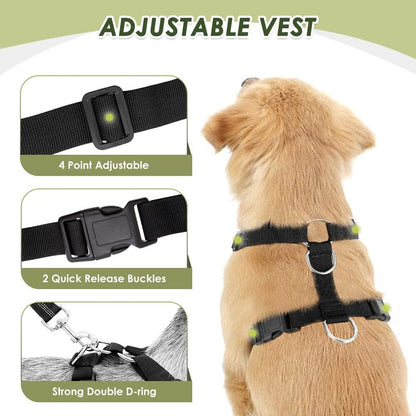 Slowton Dog Seat Belt Harness for Car, Dog Car Harness Adjustable Mesh Breathable & Dog Seatbelt Safety Tether with Elastic Bungee for Small Medium Large Pets(Green, Double Clip, XXS)