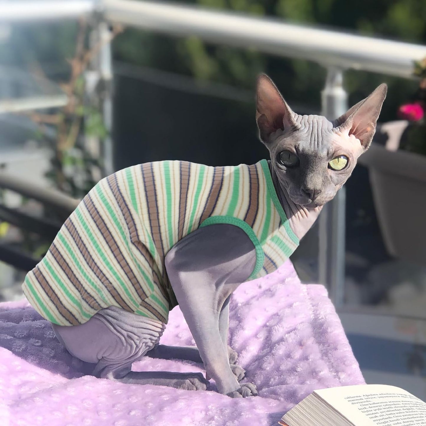 Nanaki Hairless Sphynx Cat Clothes Sphynx Sweaters for Cats Sleeveless, Cat Sweater Cat Shirts for Cats Only, Stripe Cat Shirt T-Shirts Breathable Cat Apparel Vest Pajamas Jumpsuit for Cats Small Dogs