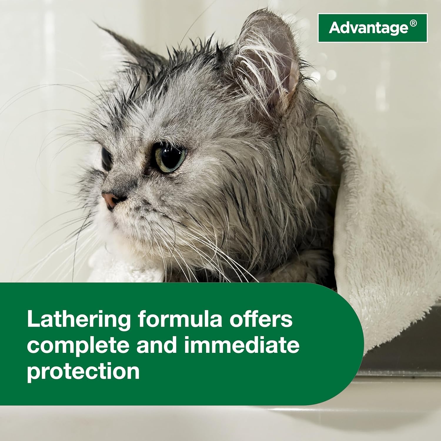 Advantage Cat Flea & Tick Shampoo for Kittens & Adult Cats | Kills Fleas & Ticks | 8 Oz.